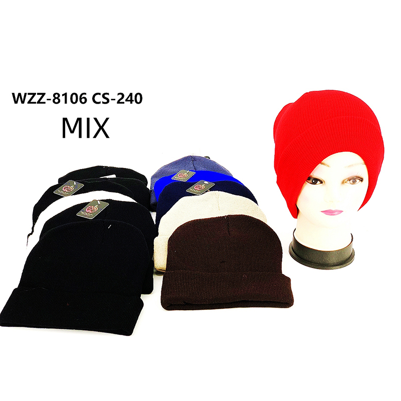 WZZ-8106MIX CS240